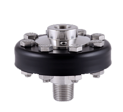 DS20 Screwed Diaphragm Seal